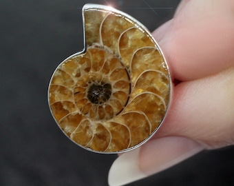 Ammonite Fossil Silver Statement Ring Handmade Size 8.5