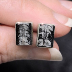 A Moment in Time - Beautiful Orthoceras Fossil Sterling Silver Stud Earrings