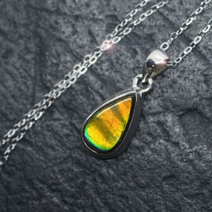 A Moment in Time - Beautiful Ammolite Fossil Sterling Silver Necklace