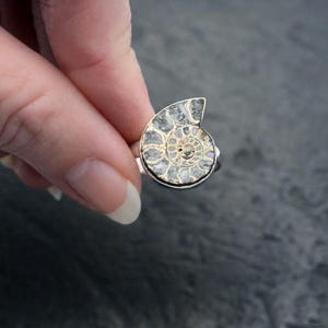 A Moment in Time - Erstaunlicher natürlicher goldener Pyrit-Ammonit-Sterlingsilber-Ring - Größe 8