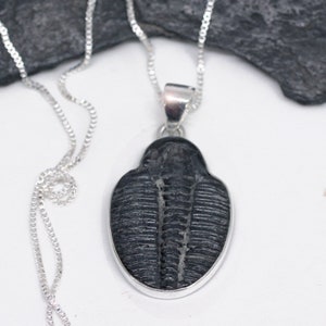 A Moment in Time - Beautiful Natural Trilobite Fossil Sterling Silver Necklace