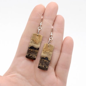 Pendientes de plata de ley con jaspe Chohua de las llanuras del desierto