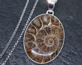 A Moment in Time - Beautiful Ammonite Fossil Sterling Silver Necklace