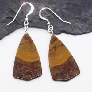 May include: A pair of dangle earrings with brown, red, and gold agate stone drops. The earrings have silver hooks.