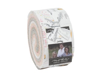 Renew 40 Jelly Roll Strips 2.5"  by Sweetwater for Moda