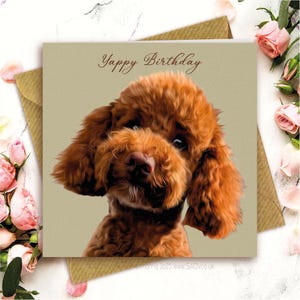 May include: A birthday card featuring a brown poodle illustration. The card reads "Yappy Birthday" in a cursive font. The card is set against a beige backdrop, with a brown envelope and pink roses.