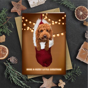 May include: Christmas card showing a brown dog in a red and white stocking. The card reads "Have a Merry Little Christmas". The background is brown with fairy lights, festive and seasonal.