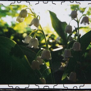 Photo Leftover SALE! Lily of the valley puzzle, photography, home decor, nature, stocking stuffer, spring, flower, rainy day activity