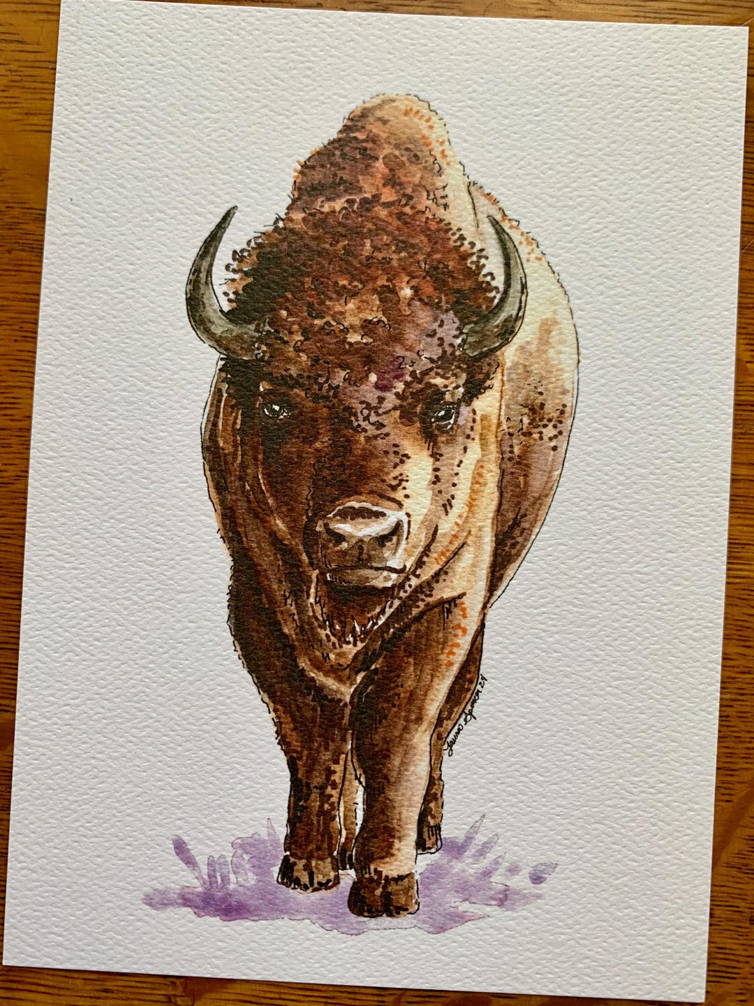 American Bison Watercolor Print - Etsy