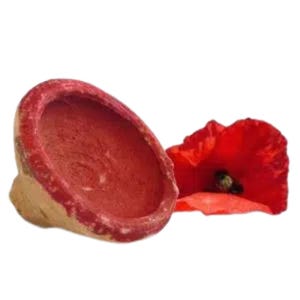 May include: A circular, bowl-shaped object with a textured, light tan exterior and a vibrant red interior rim. Beside the object sits a single, fully bloomed red poppy flower with delicate, thin petals and a dark, prominent center stamen.