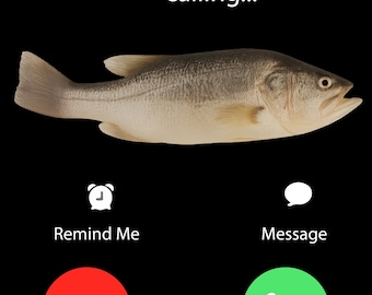 Fih Calling Funny Fish PNG、Remind Me Decfly Accept、電話画面の魚T 