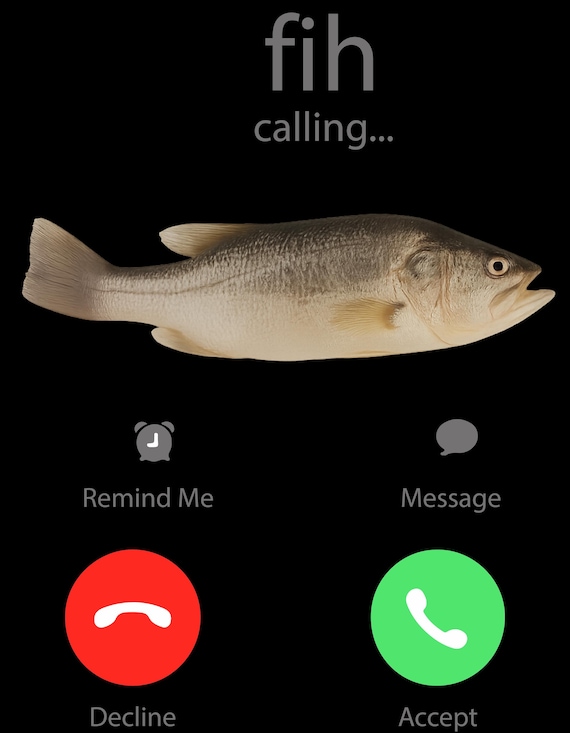 Fih Calling Remind Me Message Decline Accept Phone Call Fish Png 
