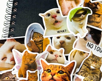 100 adesivi con meme di gatti, adesivi divertenti con gatti, adesivi divertenti impermeabili per bottiglie d'acqua, adesivi per Kindle, custodie per telefono, planner, laptop