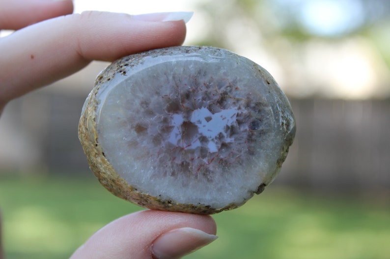 Hand Carved Natural Blue Agate Baby Leopard In Womb Geode Cabochon image 8