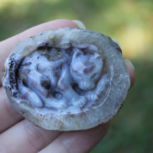 Hand Carved Natural Blue Agate Baby Leopard In Womb Geode Cabochon image 2