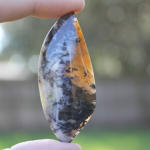 May include: A teardrop-shaped agate cabochon with a dendritic pattern in shades of white, brown, and black. The agate has a translucent quality and shows a hint of orange at the edges.