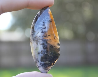 Pristine Natural Hand Carved Polished Dendritic Opal Large Cabochon