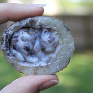 Hand Carved Natural Blue Agate Baby Leopard In Womb Geode Cabochon image 3