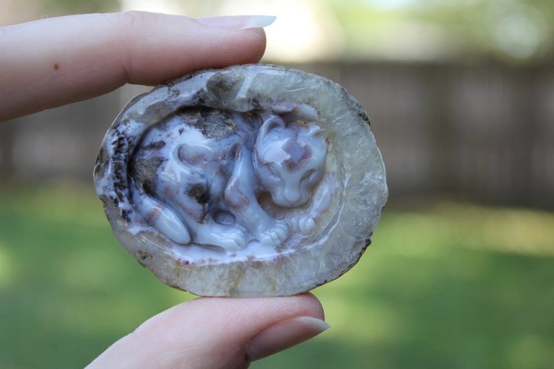 Hand Carved Natural Blue Agate Baby Leopard In Womb Geode Cabochon image 3