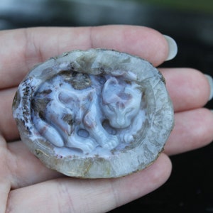 Hand Carved Natural Blue Agate Baby Leopard In Womb Geode Cabochon image 4