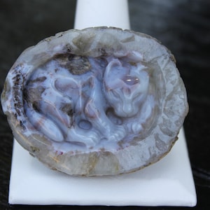 Hand Carved Natural Blue Agate Baby Leopard In Womb Geode Cabochon image 1