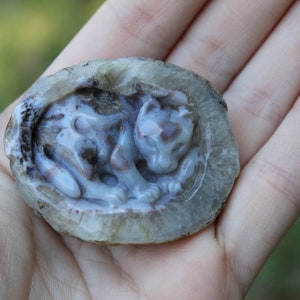 Hand Carved Natural Blue Agate Baby Leopard In Womb Geode Cabochon image 7