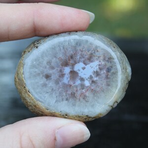 Hand Carved Natural Blue Agate Baby Leopard In Womb Geode Cabochon image 6