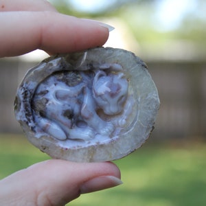 Hand Carved Natural Blue Agate Baby Leopard In Womb Geode Cabochon image 9