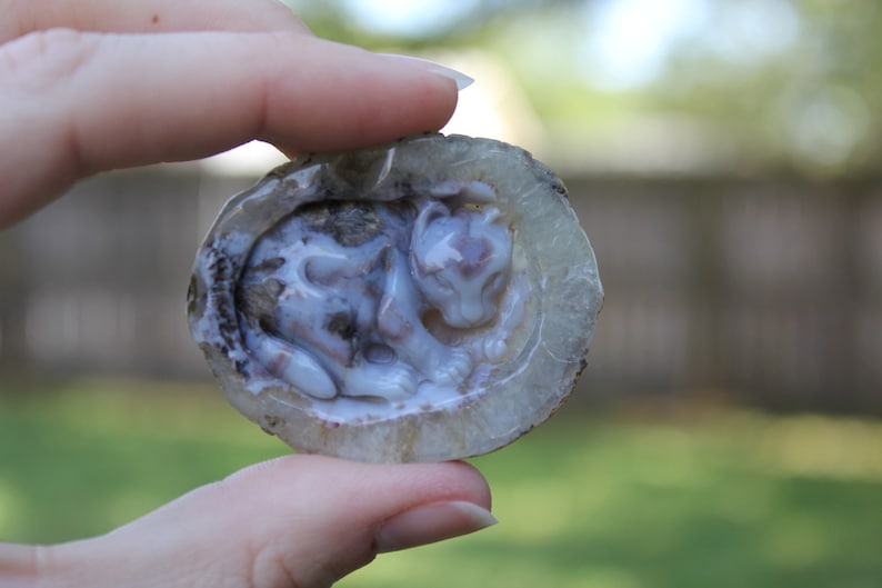 Hand Carved Natural Blue Agate Baby Leopard In Womb Geode Cabochon image 9