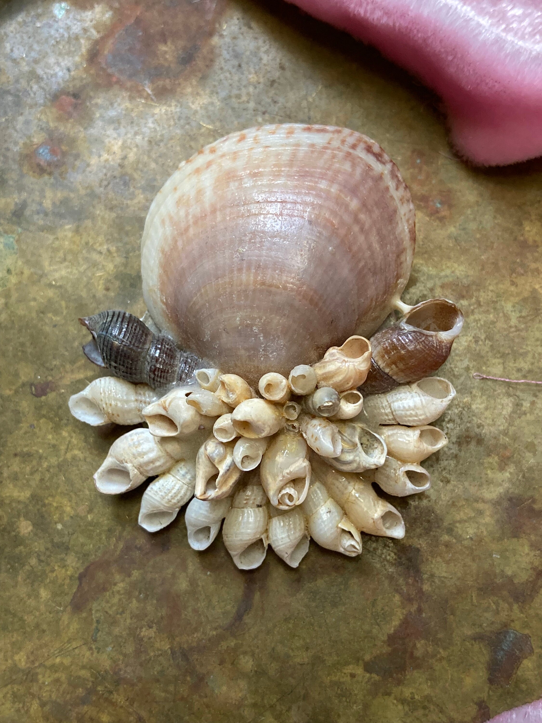Shell Brooce Gathered Shells Handmade Vintage 70s Brooch - Etsy