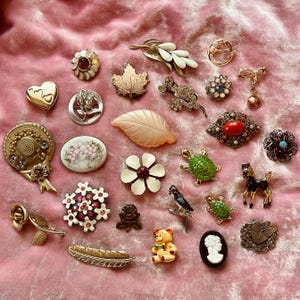 May include: A collection of vintage brooches featuring a variety of designs, including flowers, animals, and abstract shapes. The brooches are made of metal, glass, and plastic and are decorated with rhinestones, beads, and other embellishments.