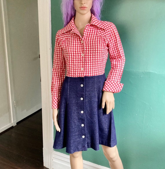 Vintage 70s Blue and Red Gingham Farmer Dress