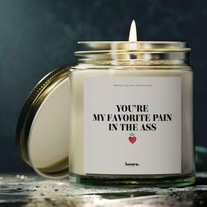 Candle Gift For Sister - You Are My Favorite Pain in the Ass Gifts From Sister for Brother Gift From Brother Aromatherapy Present