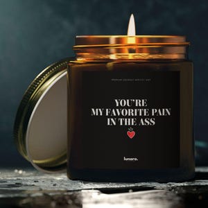 Candle Gifts For Sister You Are My Favorite Pain in the Ass Gifts From Sister Gift for Brother Gift From Brother