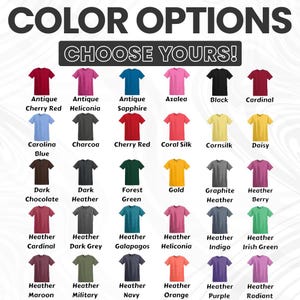 May include: A graphic showcasing a variety of t-shirt color options. The text "COLOR OPTIONS" and "CHOOSE YOURS!" are displayed at the top. Each shirt is a different color, with names like "Antique Cherry Red" and "Heather Indigo".