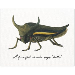 Une cigale fantaisiste vous dit bonjour - Lot de 10 cartes postales (États-Unis et Californie)