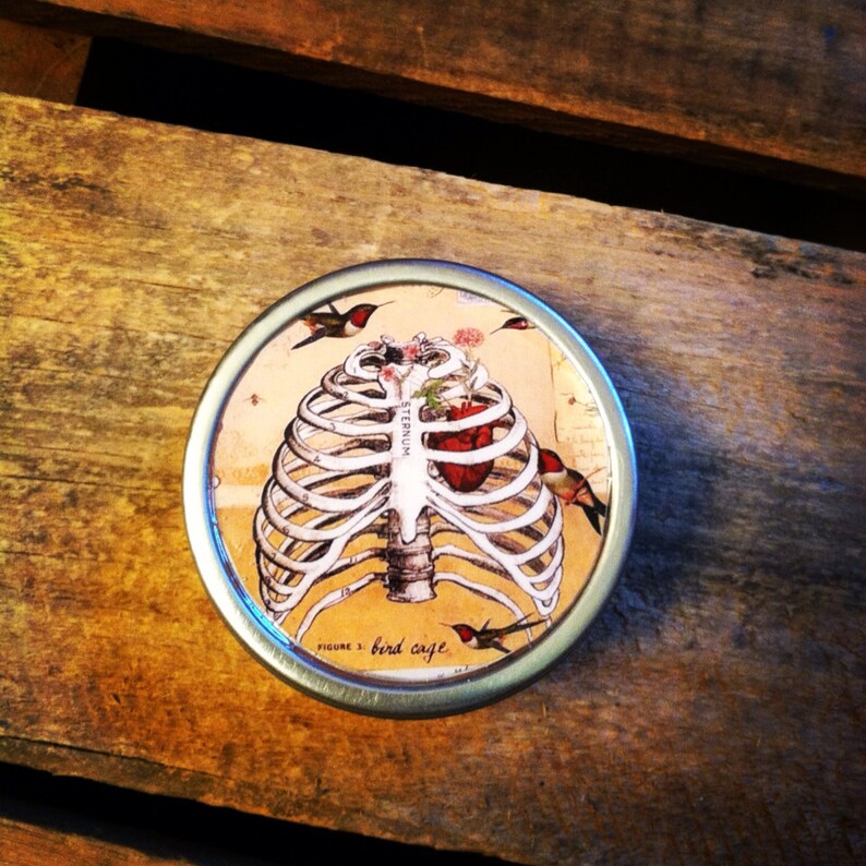 Rib Cage Skeleton Bird Cage 1 Oz Silver Tin Pill Box Etsy