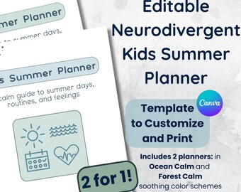 Editable Kids Summer Planner Canva Template Neurodivergent Autism ADHD Routine Chart, Feelings Check In, Visual Daily Schedule