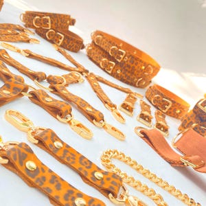 Tiny Panther Nubukleder Fessel-Set - Verführerisch, feurig und bereit zum Spielen (24 Teile) - Perfektes Geschenk für Paare, mit Geschenkbox & Lieferzeit in 4 Tagen