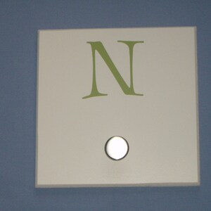 May include: A white square sign with a green letter N and a white circle in the center.