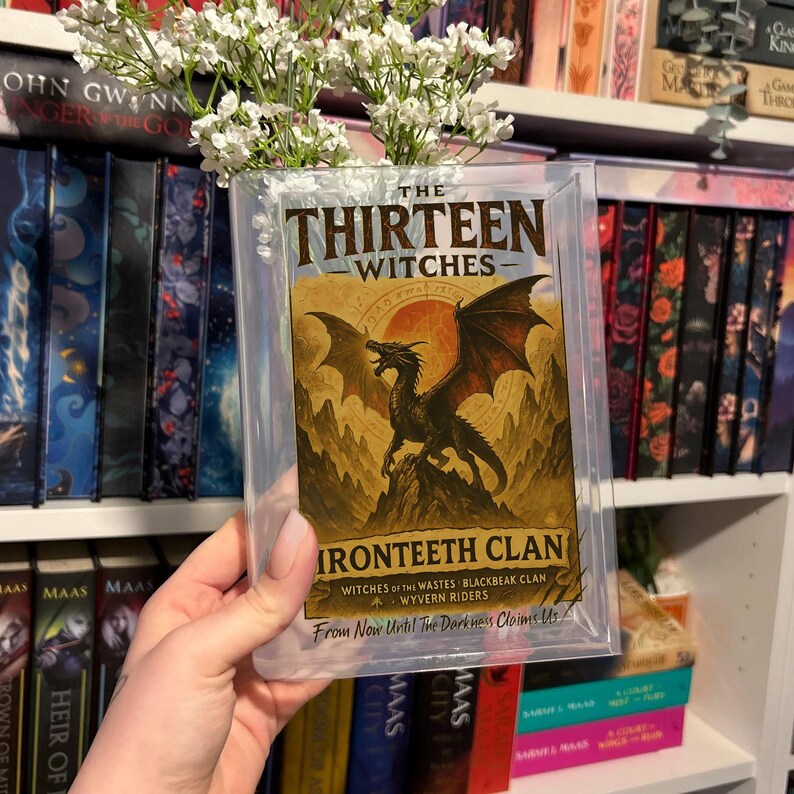 May include: A book cover for "The Thirteen Witches: Ironteeth Clan" featuring a dragon illustration in shades of brown and black. The book is encased in a clear plastic sleeve, with white flowers in a vase behind it. The book is on a shelf with other books.