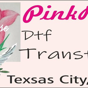 Disney Princess Coquette Dtf,Couquette Princess Dtf,Disneyland Dtf,Magical Kingdom Dtf Transfer, Disney Princess dtf,Coquette Aurora Dtf, Bild 11