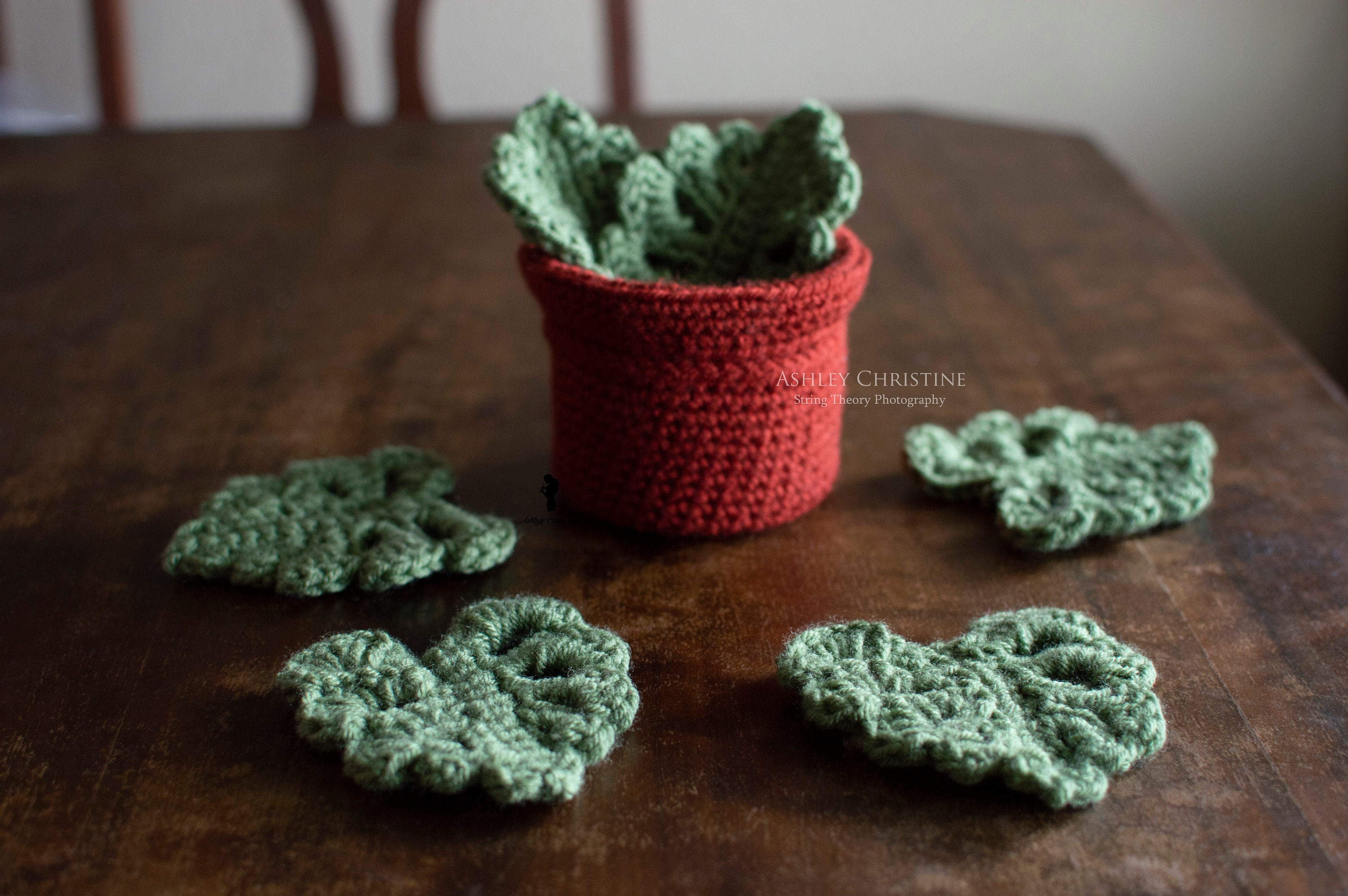 Crochet Monstera Leaf Coasters