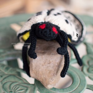 Spotted Lanternfly Plush Stuffed Crochet Animal Crochet Bug Red Yellow Poseable Made to Order image 5