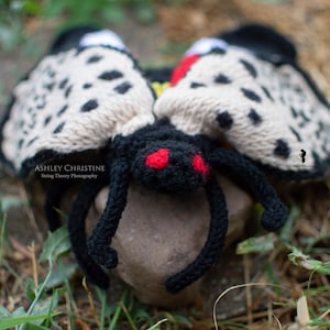Spotted Lanternfly Plush Stuffed Crochet Animal Crochet Bug Red Yellow Poseable Made to Order image 8