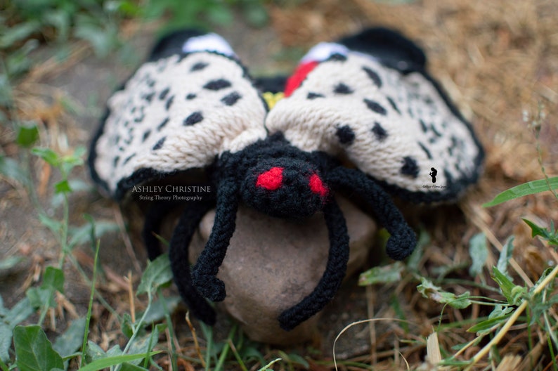 Spotted Lanternfly Plush Stuffed Crochet Animal Crochet Bug Red Yellow Poseable Made to Order image 8