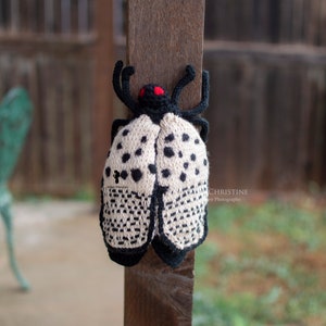 Spotted Lanternfly Plush Stuffed Crochet Animal Crochet Bug Red Yellow Poseable Made to Order image 7