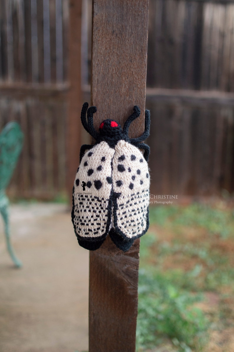 Spotted Lanternfly Plush Stuffed Crochet Animal Crochet Bug Red Yellow Poseable Made to Order image 7