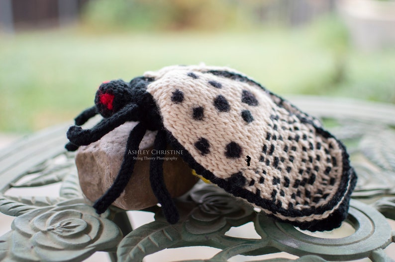 Spotted Lanternfly Plush Stuffed Crochet Animal Crochet Bug Red Yellow Poseable Made to Order image 1