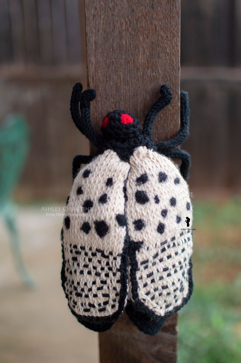 Spotted Lanternfly Plush Stuffed Crochet Animal Crochet Bug Red Yellow Poseable Made to Order image 6